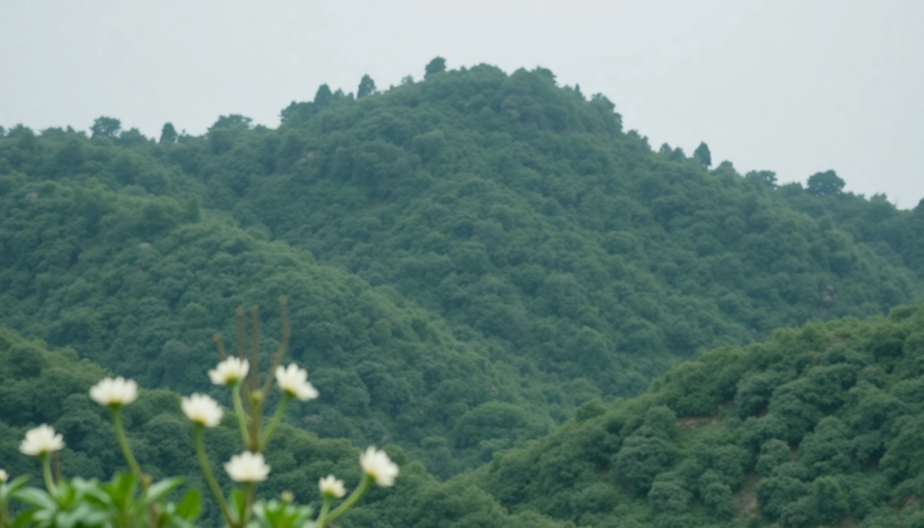 사비필름의 영상프로덕션 서비스 – 브랜드 필름과 디지털 광고 전문